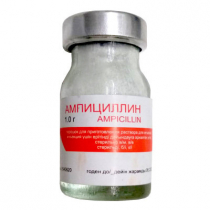 Ампициллин Порошок для приготовления раствора для инъекций / 1г № 1 NCPC